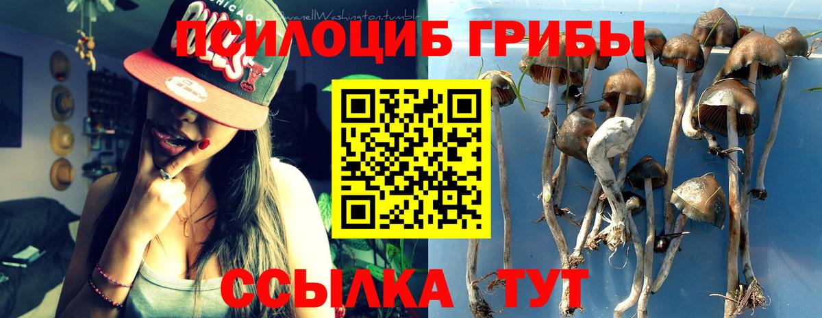 Галлюциногенные грибы Cubensis Кизляр