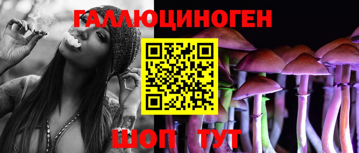 Галлюциногенные грибы прущие грибы  Вход с VPN  Кизляр 